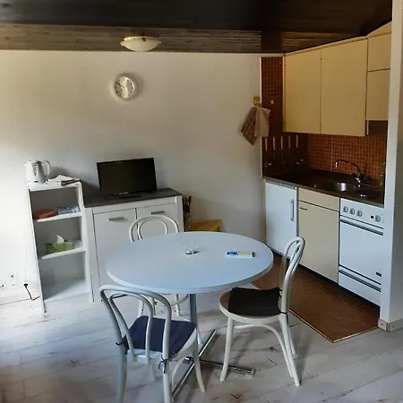 Apartment Attic Montana-aminona 14 Days Minimum Crans-Montana